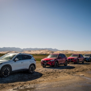 ͬ�����L(zh��ng)18.3�� �L(zh��ng)���R���_(d��)ǰ7��(g��)��ͻ��10�f(w��n)�v