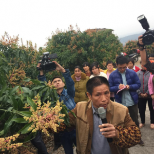 ��Óؚ���Կ��V������ɫ���Óؚ·��66�q��â���������ġ��޹���ɽ־��