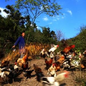 ��ɫ���I(y��)��벢�e���B(y��ng)ֳ�I(y��)����