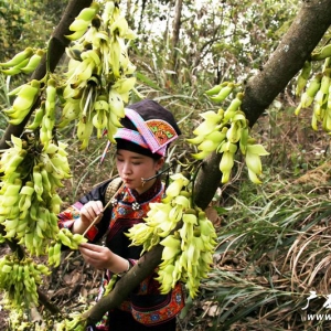 ���֣���Ň�(gu��)����֮���ҷ���(d��)��