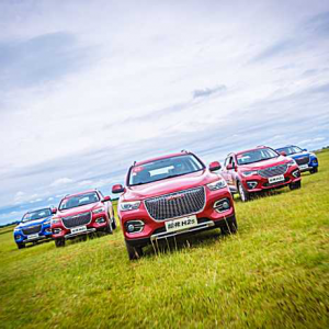 ����H2s�������M(f��i)����(j��)������ �����M(f��i)����(j��)����ǰ��