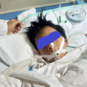 10�q�к����K�E���ֳ�ֲ���� ֻ�����3���׾�