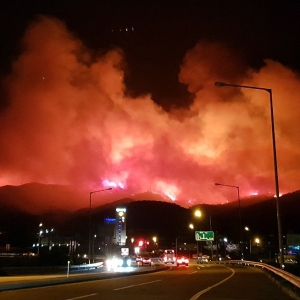 ȫ���M��ɭ�ֻ�ĸ߰l(f��)��������ɽ������α��U��