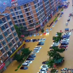 �WУ��ͣ�n��������ҹ�u��ɫ������܇�v�������ǅ^(q��)�ɺ�