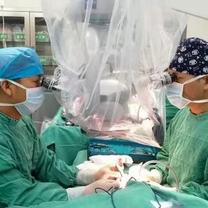 1�q�׃���֫��ɹ��ӻأ���ɫ���t(y��)Ժ������g��С��֫��ֲ���g(sh��)