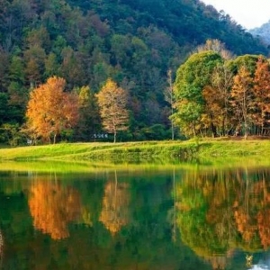 �쵽��ɫ�򿨼tɫ֮����߀�܌����������M���۵�