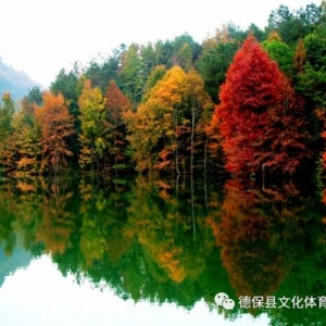 �p�t���T���R�^������2019��±��t���Ļ����ι�(ji��)��(l��i)��