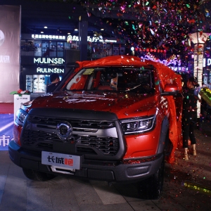 16.98�f�����L����ԽҰƤ����ɫ�^(q��)����ʽ����