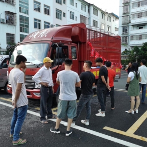 �V����ɫ-�ӳ؅^(q��)����r(sh��)����܇(ch��)"2020�����Ѳչ���(d��ng)"�A�M�Y(ji��)��