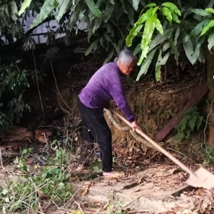 얹̇�(gu��)���l(w��i)�����гɹ������������t