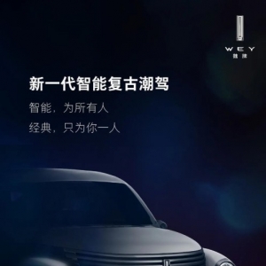 �L��WEY�l(f��)��ȫ��(f��)������SUV�A(y��)��D�����ƿ��R˹��PT������