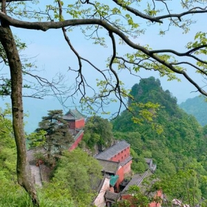 ��ӡ�n�C���䮔ɽ��Ʊ�r235��ٍ80���|�����Ӯ�?sh��)ؽ?j��ng)��